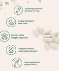 Micro Ingredients Pure L Lysine 300 Veggie Capsules 2000Mg