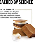 Force Factor Modern Mushrooms Soft Chews Turkey Tail Mushroom Supplement To Support Immunity Digestive Health And Vitality Antioxidants Supplement Delicious S Mores Flavor 30 Soft Chews