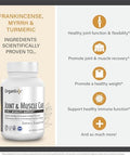 Organixx Magnesium Glycinate (60 Caps) and Joint and Muscle Care Turmeric (60 Caps) Bundle