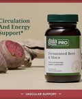 Gaia Herbs Pro Fermented Beet & Maca Healthy Energy & Circulation Support Supplement Kidney Health Supplement With Beet & Carrot Root Vegan Gluten Soy 60 Capsules (30 Servings)