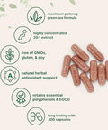 Micro Ingredients Extra Strength Green Tea Extract 300 Capsules 5 Month Supply Maximum Potency Polyphenols Antioxidant Supplement For Skin Energy Brain & Heart Support