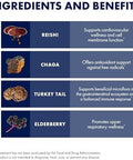 Host Defense Elderberry Plus Syrup Immune Respiratory & Lung Support Supplement Liquid Mushroom Supplement With Turkey Tail Reishi Agarikon & Chaga 4 Fl Oz (12 Servings)