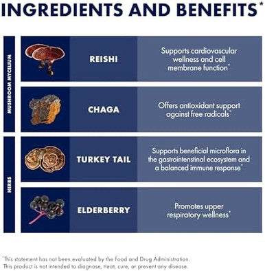 Host Defense Elderberry Plus Syrup Immune Respiratory & Lung Support Supplement Liquid Mushroom Supplement With Turkey Tail Reishi Agarikon & Chaga 4 Fl Oz (12 Servings)