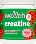 Wellah Creatine For Women (50 Servings) Strawberry Watermelon - 3G Of Creatine Monohydrate Powder With Dandelion & Cranberry Extract