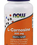 Now Foods L-Carnosine, 500mg x50VCaps - UK Seller, 1 Units