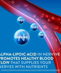 Nervive Nerve Health Glucose Support Tablets Nervive Supplement Nervive Tablet Alpha Lipoic Acid Chromium Picolinate Vitamin B12 B6 B1