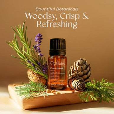 Gya Labs Fresh Forest Essential Oil Blend For Diffuser - Fresh Forest Oil For Aromatherapy Candle & Diy - 100 Pure Natural Ingredients Of Rosemary Pine Needle Cedarwood & Thuja(0.34 Fl Oz)