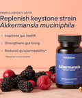 Pendulum Akkermansia and Metabolic Daily Bundle Live Probiotic Supplements Strengthen The Gut Lining Support Glp-1 Production Supports Metabolism