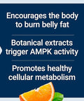 Life Extension Ampk Metabolic Activator, Hesperidin, G. Pentaphyllum, Fight Unwanted Belly Fat & Revitalize Cellular Metabolism, Gluten-Free, Non-Gmo, 30 Vegetarian Tablets