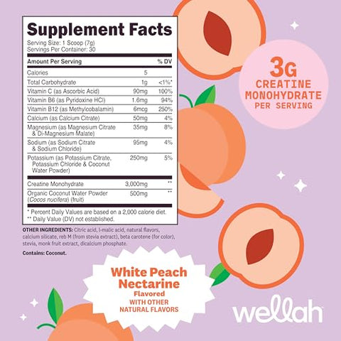 Wellah Creatine Electrolytes Powder (White Peach Nectarine) 30 Servings - Hydration Drink Mix With 3G Of Creatine Monohydrate