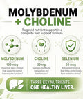 Balance One Liver Support Supplement With Milk Thistle Molybdenum Dandelion Root &