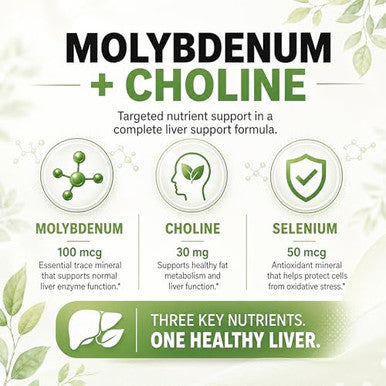 Balance One Liver Support Supplement With Milk Thistle Molybdenum Dandelion Root &