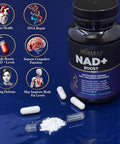 Ageless Nad+ Supplement - Nicotinamide Riboside Supplement For Healthy Aging And Cognitive Function - Promotes Endurance And Energy - 90 Count