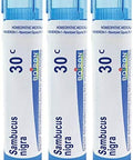 Boiron Sambucus Nigra 30C Homeopathic Elderberry Medicine For Hoarseness With Painful Cough And Nasal Congestion Pack Of 3 (240 Pellets)