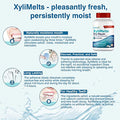 Oracoat Xylimelts Bundle Cinnamon 100 Count And Cinnamon 40 Count Dry Mouth Relief Products