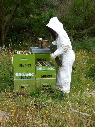 Land Girl Organics UMF 5+ MGO 100+ Manuka Honey