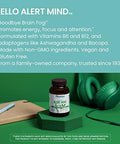 Himalaya Hello Alert Mind With Ltheanine Ashwagandha Bacopa Vitamin B6 & B12 For Energy Focus & Attention Vegan Gluten 60 Capsules