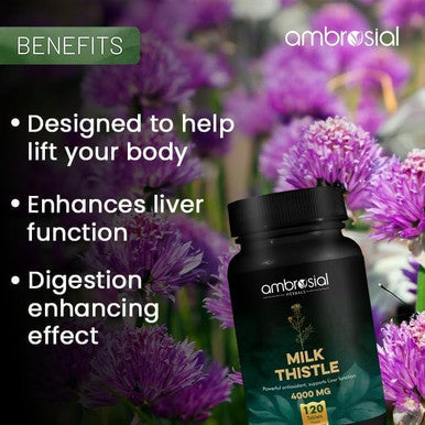 Ambrosial Ambrosial Milk Thistle 4000mg | High Strength Liver Support Antioxidant | Liver Detox Supplement (Pack of 1-120 Tablets)