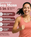 Sea Moss Gummies with Lions Mane Mushroom Sea Moss Gel Alternative with Irish Moss Reishi Cordyceps Chaga and Turkey Tail Supplement Focus Gummy Without Coffee 60 ct