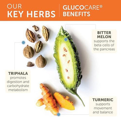 Himalaya Glucocare Herbal Supplement Metabolism Support Pancreatic Support Triphala Bitter Melon Turmeric Gluten Vegan 180 Capsules 90 Day Supply