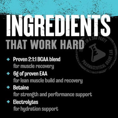 Animal Juiced Amino Acids Bcaa Powder Eaa Matrix Plus Hydration With Electrolytes And Sea Salt Anytime Recovery And Improved Performance Fruit Punch Flavor 30 Servings