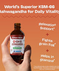 Drops Of Nature Ksm-66 Ashwagandha Liquid Drops Vegan Gmo Free & Fast Absorbing Form Ashwagandha Supplements For Daily Wellness Support Promotes Focus And Clarity Supports Daily Vitality (Mixed Berry 60Ml)