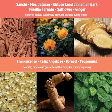 Tolevita Motion Sickness Patches 36 Pcsherbal Essential Oil Patch With Ginger Peppermint And Sanchitravel With Comfort Easytouse And Discreet