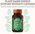 Herbs Etc. ChlorOxygen Chlorophyll Concentrate Softgels High Potency Chlorophyll for Detoxification Support