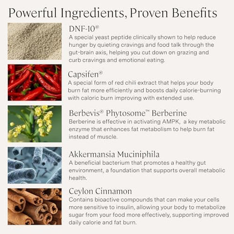 Stonehenge Health Dynamic Glp1 Weight Management Supplement For Women And Men 550Mg Berberine Akkermansia Supports Appetite Regulation Metabolic Wellness Gut Health Vegan Nongmo 60 Veg Caps