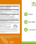 Terry Naturally Curamed Syrup Brain & Immune Health Support Supplement Curcumin Absorption Formula With Turmeric Essential Oil Gluten & Vegan Supplement 8 Fl Oz