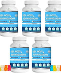 Bio Vitalica Sea Moss Ashwagandha Gummies Organic Irish Seamoss & Ashwa Root Powder Supplements For Supporting Energy & Immunity For Men And Women 2 Packs