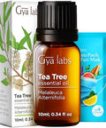 Gya Labs Lavender Oil Essential Oil For Diffuser & Tea Tree For Skin Set - Aromatherapy Grade Essential Oils Set - 2X0.34 Fl Oz - Gya Labs