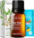 Gya Labs Pine Essential Oils For Diffuser & Tea Tree Oil For Skin Set - Aromatherapy Grade Essential Oils Set - 2X0.34 Fl Oz - Gya Labs