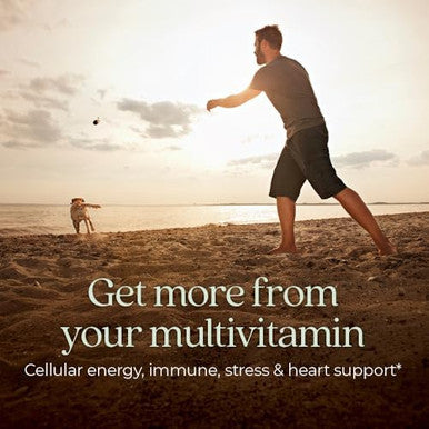 New Chapter Men'S Multivitamin For Immune Stress Heart + Energy Support With Fermented Nutrients - Every Man'S One Daily Made With Organic Vegetables & Herbs Non-Gmo Gluten - 72 Ct