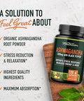 Smnutrition Mushroom Tincture & Ashwagandha With Black Pepper Herbal Adaptogen Bundle With 6 Mushroom Complex (60 Servings) And Ashwagandha Capsules (60 Servings)