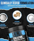 Animal Creatine Chews Tablets Creatine Monohydrate Chewable Muscle Builder With Sea Salt & Nootropic Astragin For Added Absorption Delicious And Convenient For Men & Women 120 Count Sour Apple