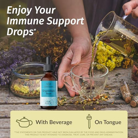 Herbamama Liquid Drops Kit - Bundle Of Cryptolepis Root & Black Elderberry Tincture 2 Fl Oz - Vegan Non-Gmo Sugar & Alcohol- - 2 Pack
