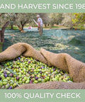 NÃƒâ€šÃ‚Â°1 Drinking Extra Virgin Olive Oil - Italian Olive Oil from Italy 2025 Gold Awards Winner - 514 mg/kg High in Polyphenols evoo - 100% Unrefined and Cold pressed evoo for Drinking and Finishing Use