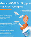 Doctor'S Best Nmn Complex Supplement Capsules For Women & Men - Supports Nad Production Resveratrol 100Mg & Beta Nicotinamide Mononucleotide 200Mg Per Capsule Cellular Energy Support 60 Veg Caps