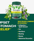 Iberogast Gummies Upset Stomach Relief Helps Relieve A Combination Of Occasional Indigestion/Upset Stomach Gas Heartburn Bloating Nausea And Abdominal Discomfort Natural Elderberry Flavor 30Ct