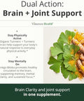 Ginko Biloba Capsules with Ginkgo Biloba 120mg & Organic Turmeric for Joint Support Focus and Brain Health Gingo Biloba Supplement with Black Pepper (Bioperine) for Max Absorption 60 Count
