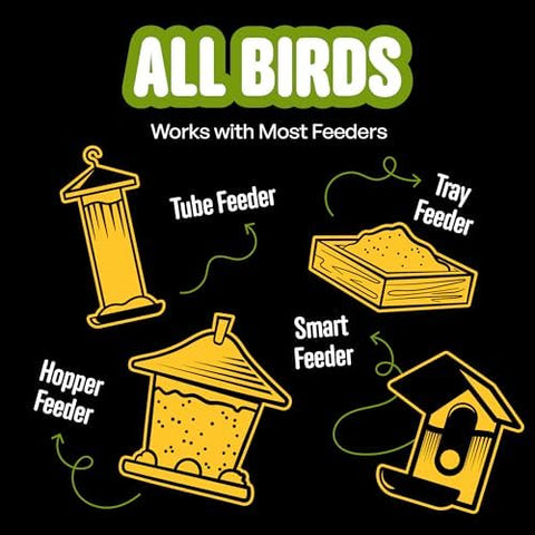 Cool Birds All Birds Wild Bird Seed, 10 lb | Classic Blend with Black Oil Sunflower, White Millet, Safflower, Peanuts & Sunflower Hearts