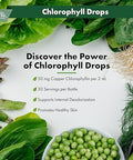 Buried Treasure Liquid Chlorophyll Drops Copper Chlorophyllin From Mulberry Leaves Manufactured In Usa Vegan Supports Overall Wellness Unflavored 30 Servings.