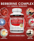Toplux Berberine With Ceylon Cinnamon And Bitter Melon 2100Mg High Purity 97% Hcl Berberine Supplement Supports Overall Health & Immune System Nongmo Vegan 90 Capsules