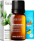Gya Labs Ravensara Essential Oil Diffuser & Niaouli Essential Oil Diffuser Set - Aromatherapy Grade Essential Oils Set - 2X0.34 Fl Oz - Gya Labs