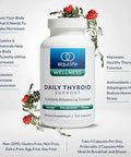 Equilife - Daily Thyroid Support, Thyroid Supplement, Promotes Stress Relief, Contains Zinc, Copper, Vitamin A, & Selenium, Rich In Antioxidants, Gluten-Free, Nut-Free, Non-Gmo (120 Capsules)