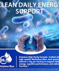 Echoes Of The Spring Methylene Blue Gummies 60 Count 5Mg Per Gummy 99.9% Pure Methylene Blue Supplement Supports Cognitive Function Mental Focus & Cellular Energy Antioxidant Support Vegan Non-Gmo Daily Supplement