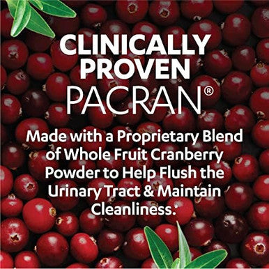 Azo Dual Protection Urinary + Vaginal Probiotic 30 Count Cranberry Urinary Health 50 Count