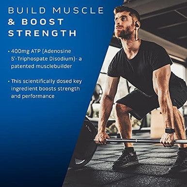 Muscletech Muscle Builder With 400Mg Peak Atp And Platinum Multivitamin With Amino Support Matrix And Vitamin C Muscle Building And Immune Support Supplement Bundle For Men And Women