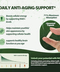 Windboss.Nad Supplement, Liposomal Nad Nicotinamide Riboside Resveratrol 900Mg Resveratrol, Quercetin, Nad Resveratrol Supplement For Anti-Aging, Energy, Focus - 100 Capsules